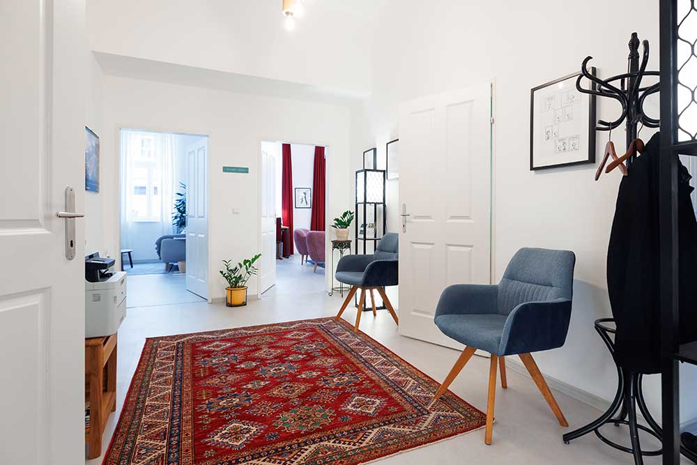 Vorraum der Praxis für Psychotherapie in 1080 Wien
